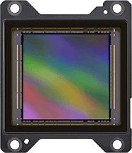 4boards NFT #1883 from /p/