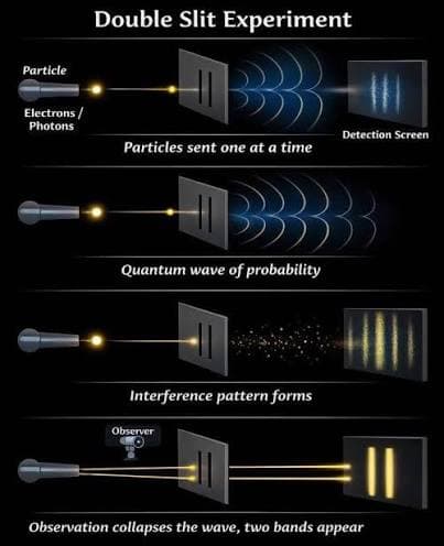 4boards NFT #0210 from /sci/